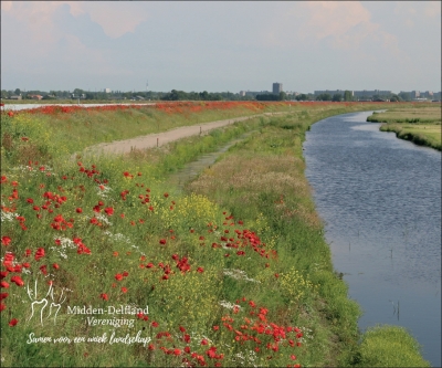 Polderen over de A4 in Midden-Delfland (boek) - Afbeelding 2