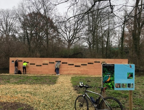 Blog: IJsvogelkijkwand in Schiedam weer als nieuw