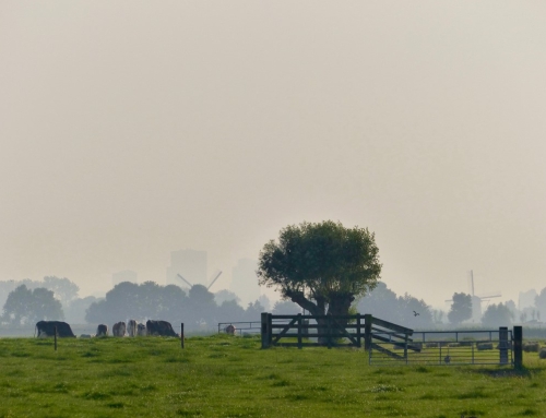 Op de bres voor afdoende bescherming BPL Midden-Delfland