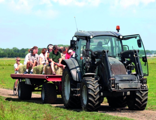 De Zomerkrant verschijnt extra vroeg!