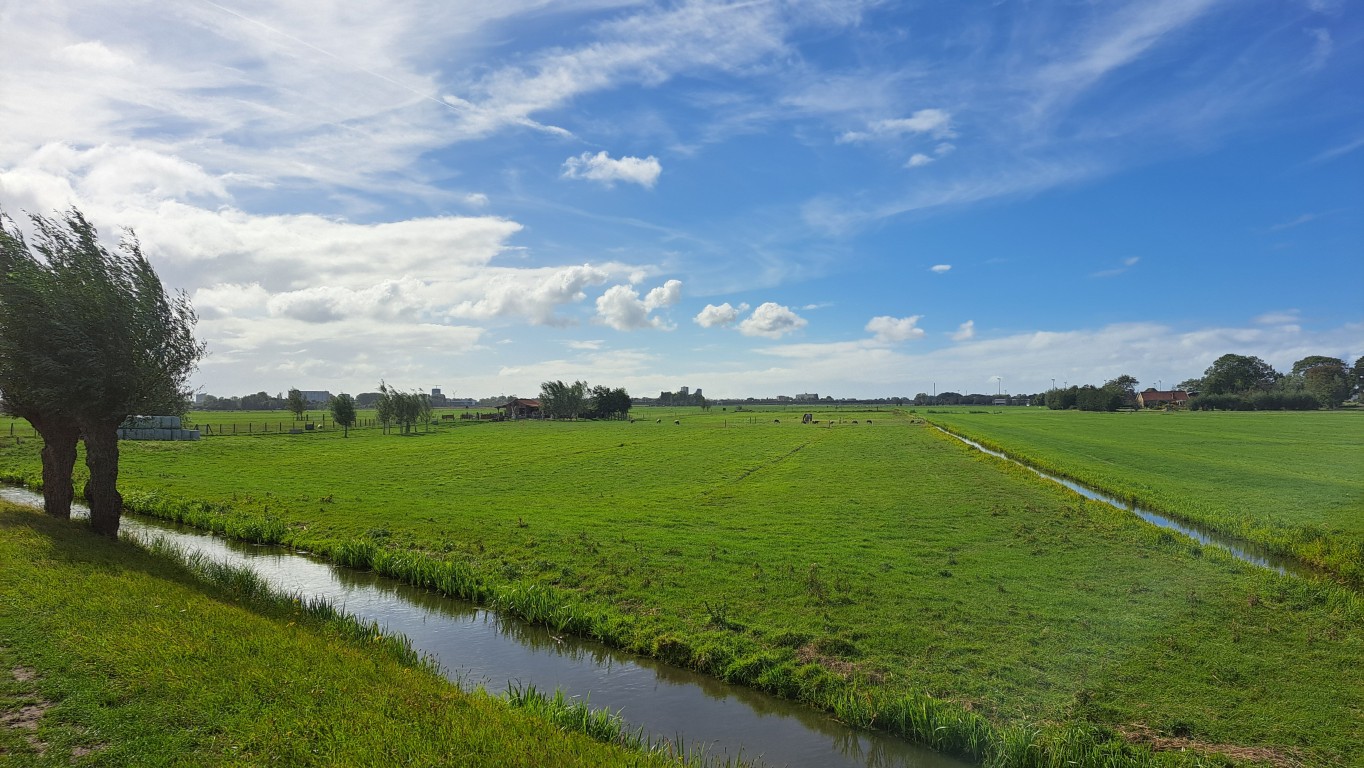 Weiland met polder MvR 250921 (Middel)