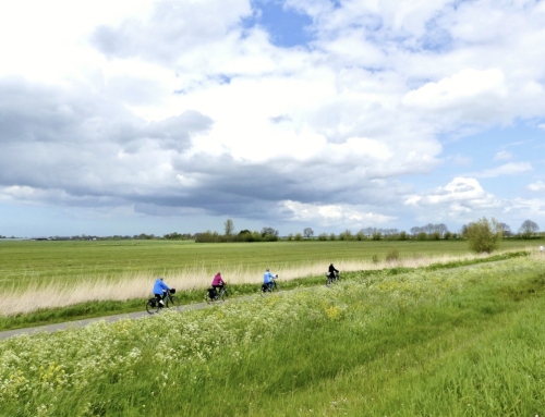Denk mee over de toekomst van ons landschap