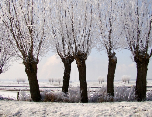 Discussie-avond over Midden-Delfland uitgesteld