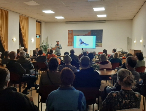 Avond over roofvogels en uilen: bezoekers enthousiast
