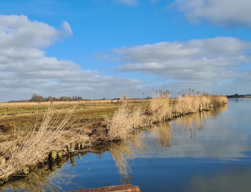 Foto- en verhalenwedstrijd: Beleef het landschap!