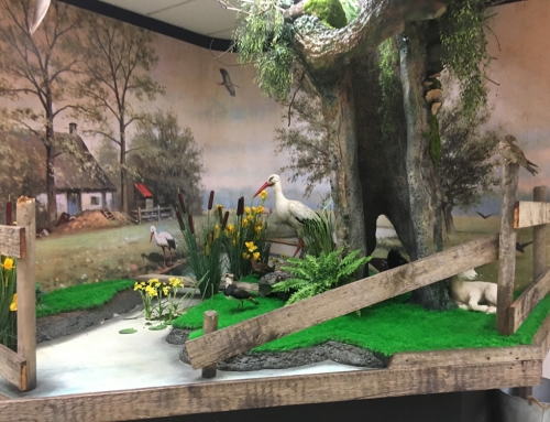 Blog: doneeractie voor de Boshoek van 0 euro naar…