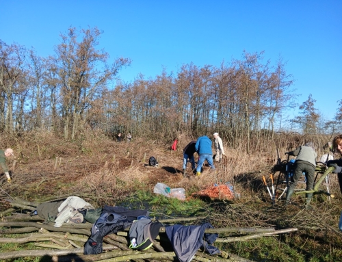 Onderhoud Vlietlanden met vrijwilligers