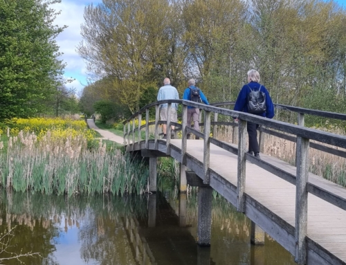 Groen en geel ommetje