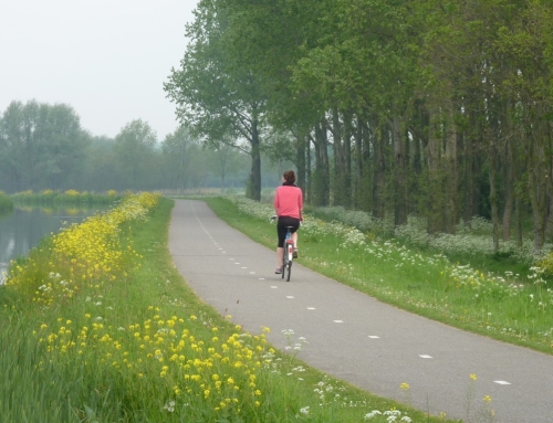 Doe ook mee aan de MDD-foto- en verhalenwedstrijd