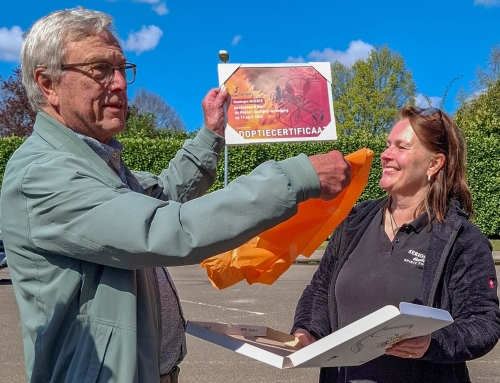 MDV heeft een bijenkoningin geadopteerd: MIDDIE