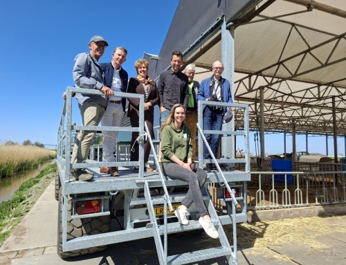 Op weidevogelsafari met burgemeester De Vries