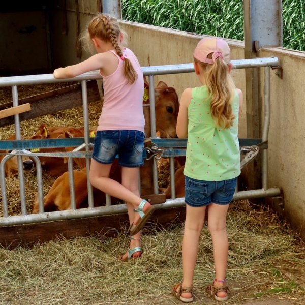 Kalfjes trekken bekijks van meisjes TvdM juni 2022