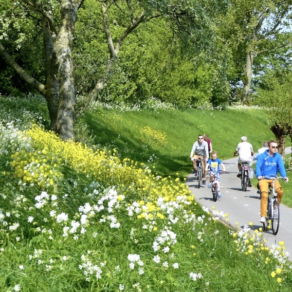 weidepad lente tinyvdmeer P1330838